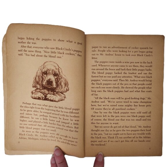 Champion Dog Prince Tom 1936 Trade Paperback by Jean Fritz & Tom Clute - Picture 4 of 9